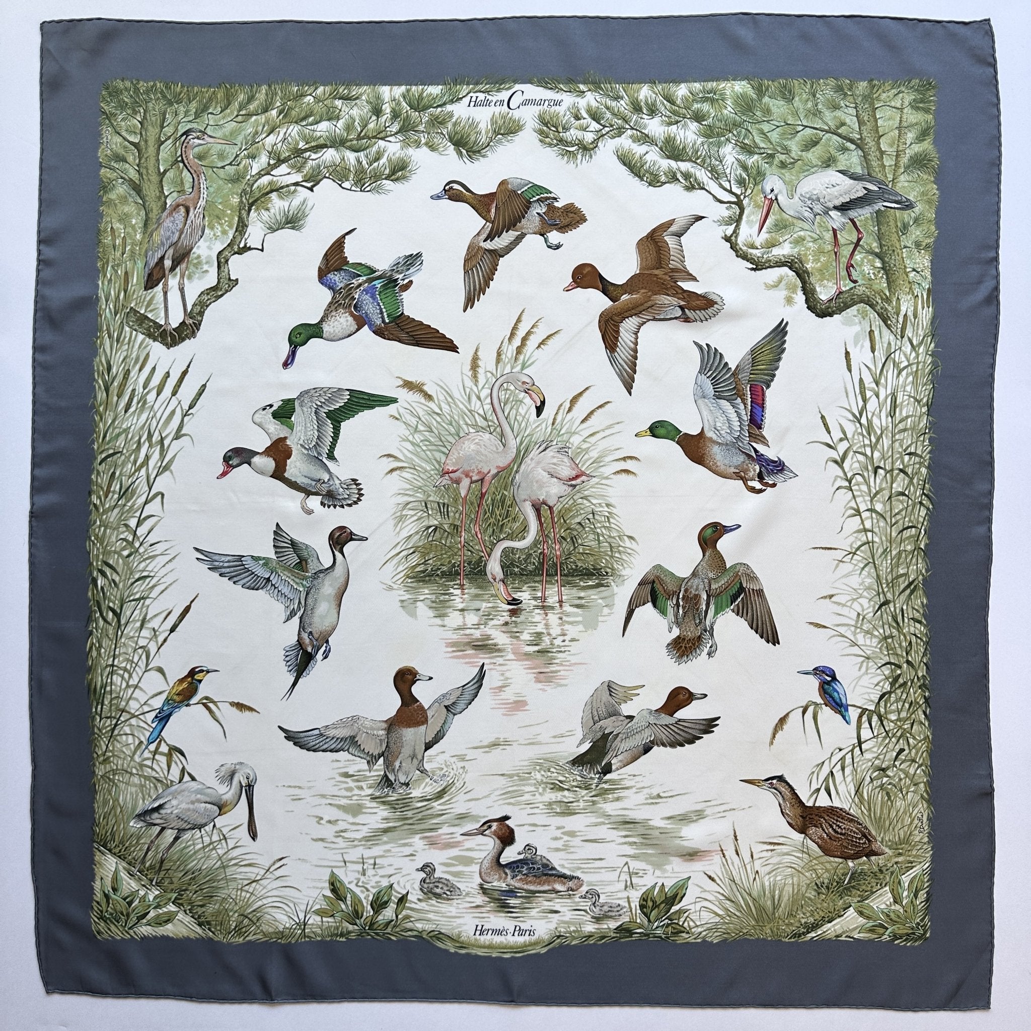 Stop in the Camargue - HERMES SCARF 90 CM
