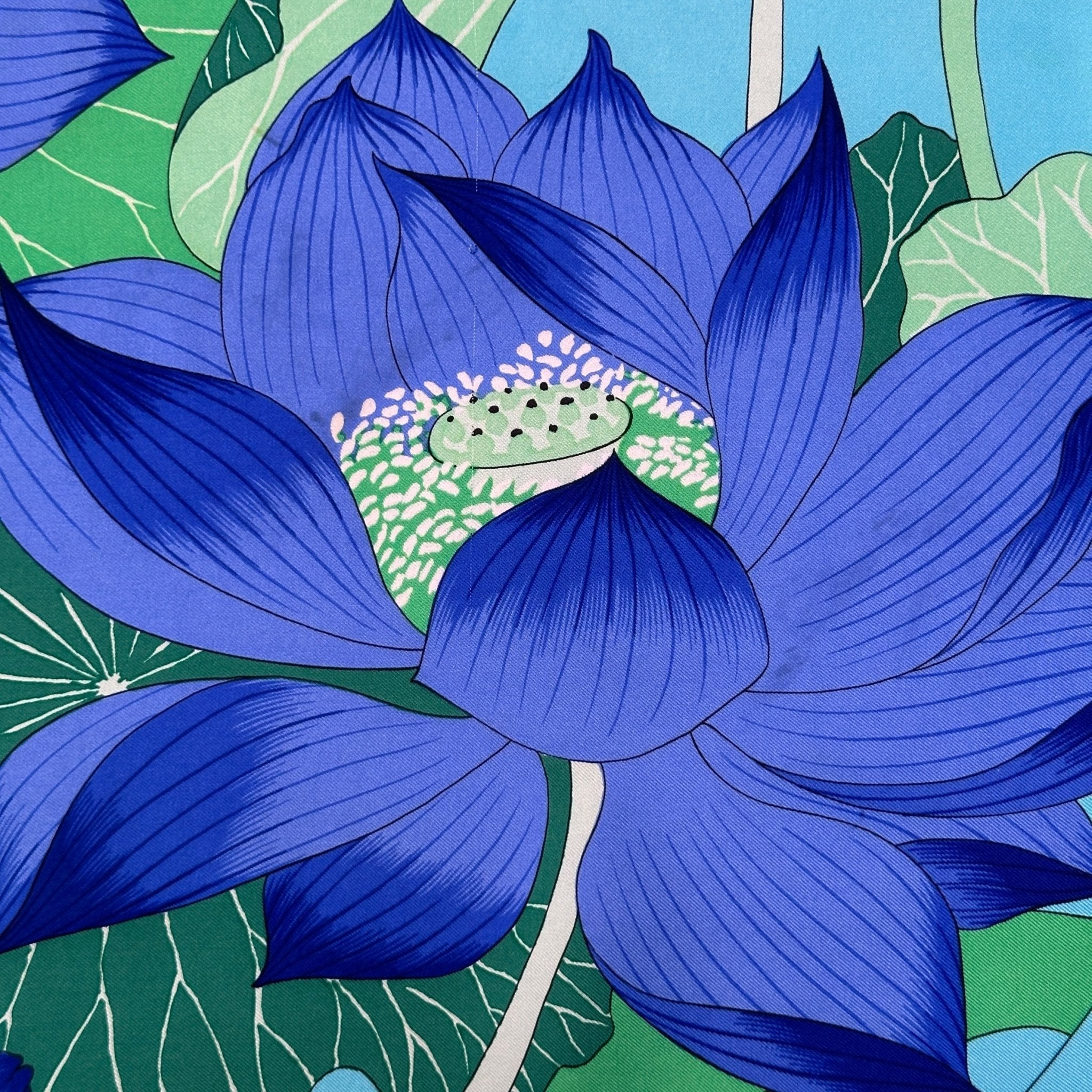 fleur de lotus bleue