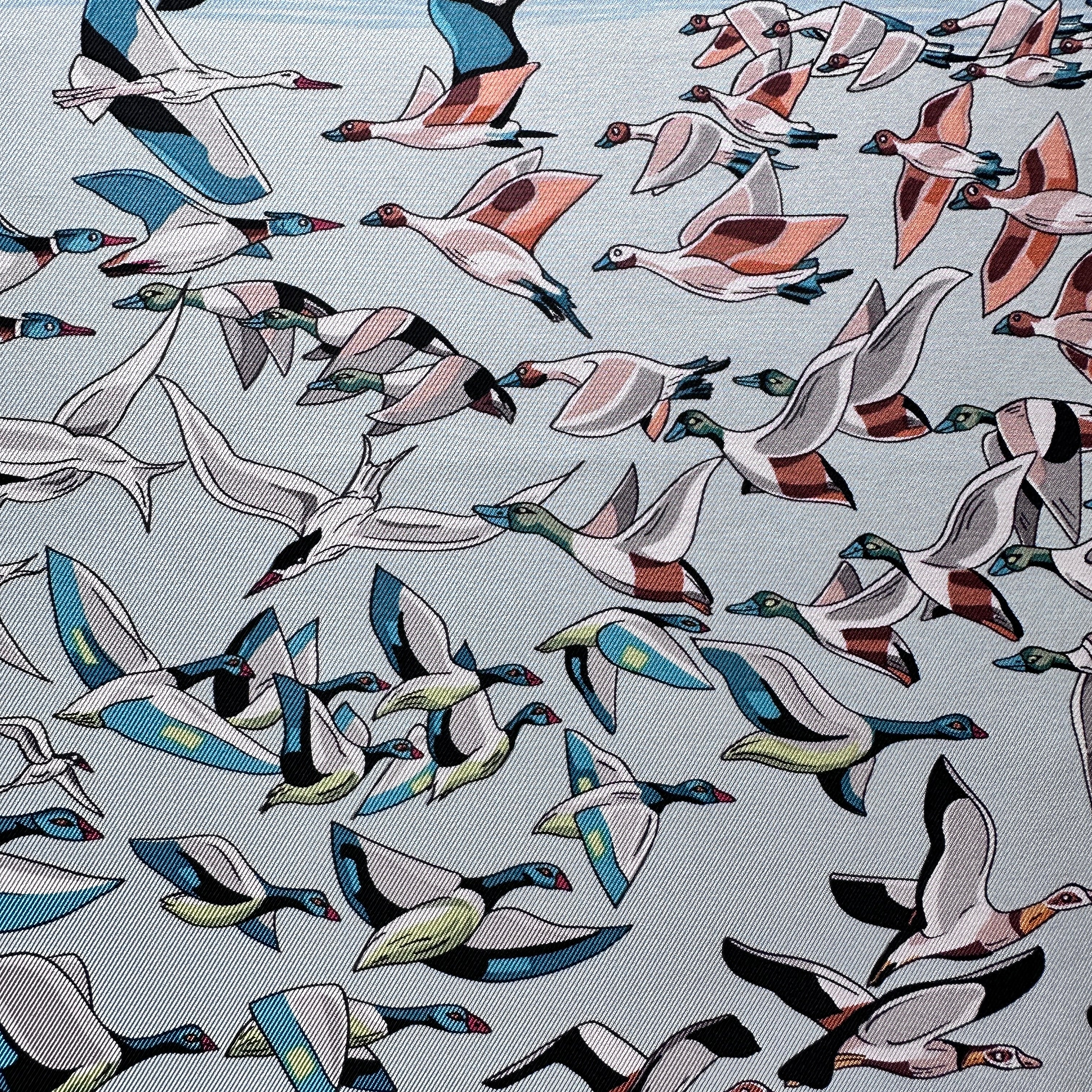 Zoom sur oies et canards colverts en vol dessin Annie Faivre.